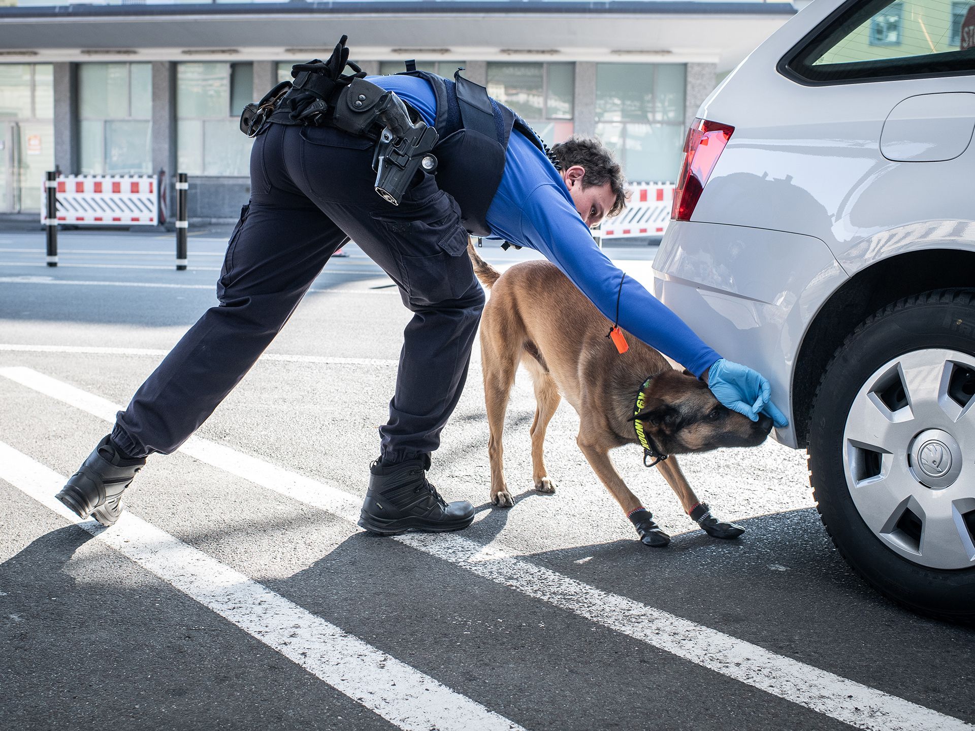 Chez nous, tu vivras chaque jour quelque chose de nouveau