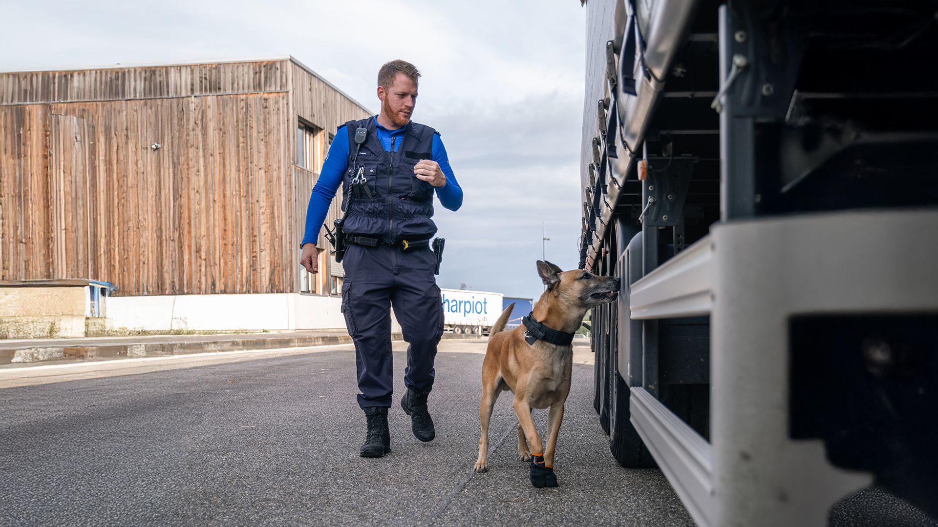 Oltre ‹100 cani› di servizio